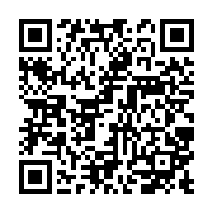 可是看到夏天坐在那里一句话都没说就把b给装了二维码生成