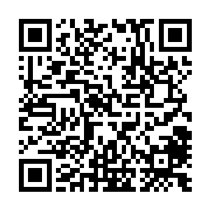 可是看到它吞下了一只比它的身体还要长的死掉的鲨鱼之后二维码生成