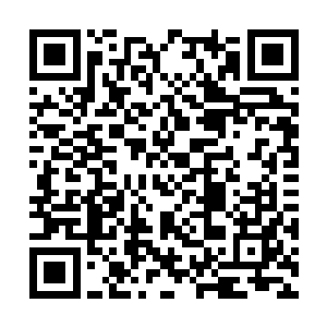 可是看到林局长包括他身后的孤夜成那冷漠的眼神二维码生成