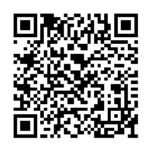 可是看着现在的样子多半是被陆婉儿已经收买了二维码生成