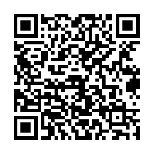 可是看着跟在身边的老汉还是依旧热络的打着招呼二维码生成