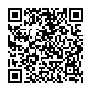 可是看着里面的这幅场景一时间也不知道该咋办二维码生成