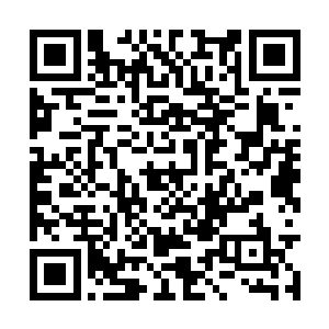 可是看碧眼金甲虎那体型实力怎么都不大像呀……二维码生成