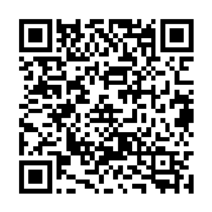 可是眼前的少女竟然能够如此轻易的靠近星辰之火二维码生成