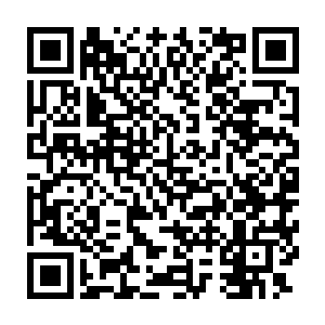 可是眼前的巨塔显然这恐怖的威能根本就不是当初的道印能够比拟的二维码生成