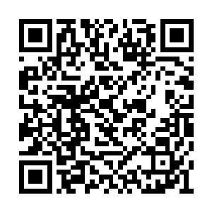 可是眼前的男人和女人根本不是江帆和妙雅公主二维码生成