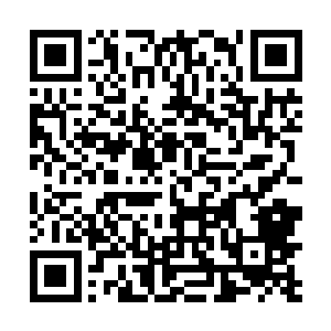 可是眼前这个白衣僧人却明显不在佛门已知的强者之中二维码生成