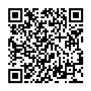 可是眼神和容貌却在剧烈发生变化的蚊血煞和沙不灭二维码生成