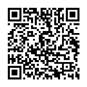 可是砍断一颗竹子也没有池佳一这么轻松写意啊二维码生成