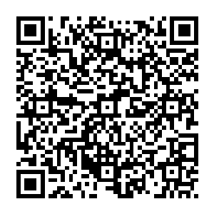 可是等到他们亲眼看到那只在神殿偏殿放了千百年也许更久的还不如野鸡大的骨鸟二维码生成