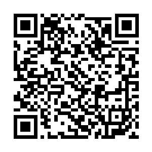 可是等天道被身后的丧尸追赶着到达了王宫的时候二维码生成