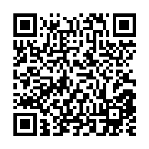 可是经过那一场生死攸关的战斗之后可能敏感的神经还没有工作二维码生成