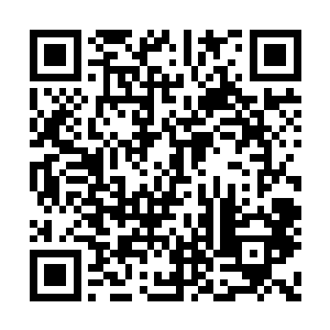 可是绿草门和阵地门的兄弟没有任何一个肯走的二维码生成