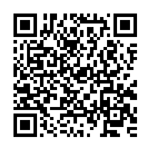 可是考古学家发现了一个被历史学家疏忽了的极为重要的原因二维码生成