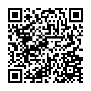 可是能够跟踏入了不化骨境界的圣人徐福掰手腕的人啊二维码生成