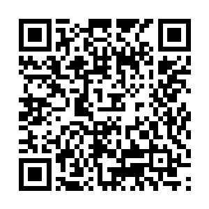 可是脖子上传来的死亡气息却使得男的并不敢这么做二维码生成