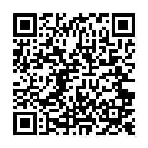 可是自己好不容易建立起来的共和国恐怕就要毁于一旦二维码生成