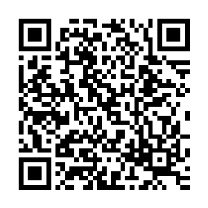 可是自己看了半天也没有看出来这个小丫头有什么特殊的地方二维码生成