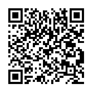 可是自己难道真要当着这么我人的面叫他作爷爷吗二维码生成