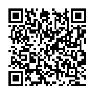 可是苏凡却完全想不到自己手中有着他的污点证据二维码生成