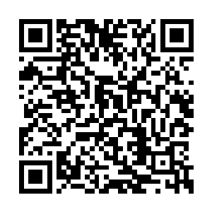 可是荆莫闲属于那种神龙见首不见尾的神秘人物二维码生成