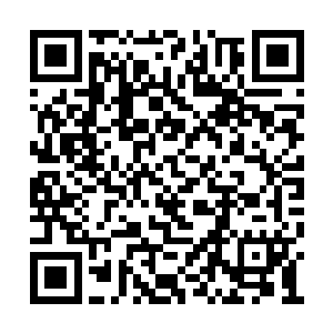 可是蒋大为还是能够很清晰地听到她们的呐喊声二维码生成