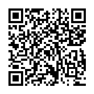 可是被龙小白这小家伙覆盖了一层又一层梅花形爪子印二维码生成