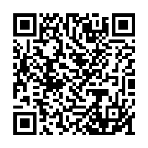 可是要想阵法有作用就必须布置在吞天兽的嘴里二维码生成