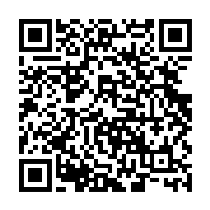 可是要是被这么多骷髅拖住的话肯定也是最后被拖死二维码生成