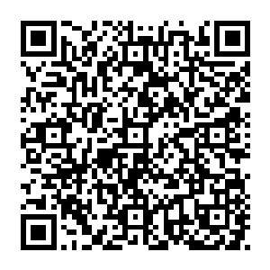 可是要是让龙傲天逃脱了的话那么他们就好好好的考虑一下他们所要承担的后果了二维码生成