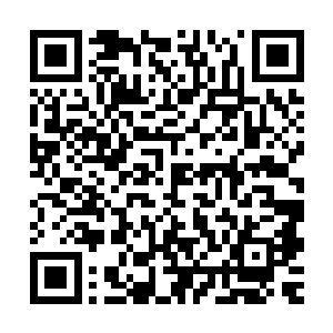 可是许紫烟立刻就感觉到了地底深处正有着无数地古藤蜿蜒而来二维码生成