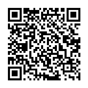 可是这两个人的速度和吞鹏根本就没有办法相提并论二维码生成