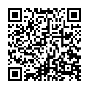 可是这个世界的那一双璧人同时出现的时候越来越少了二维码生成