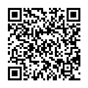 可是这个保护层在云起舞那一镰劈来的时候已经被破了二维码生成