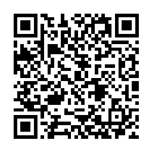 可是这个屏障以内都是修罗星域场可以作用到的范围二维码生成