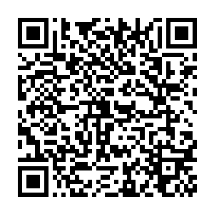 可是这个时候大家密密麻麻的站在这里瞻仰兽神大人的威武的身姿二维码生成