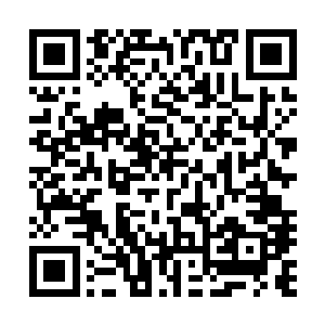 可是这个时候家里唯一还没有清醒的凌菲也立刻恢复了清明二维码生成