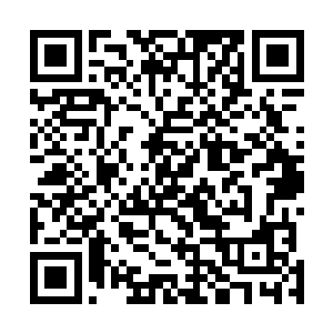 可是这个时候当他们实实在在的看到有人出动了传承以后二维码生成