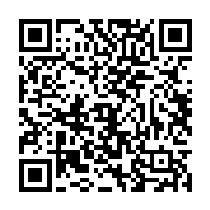 可是这个牌子所用的阵法她还是一头雾水弄不明白二维码生成