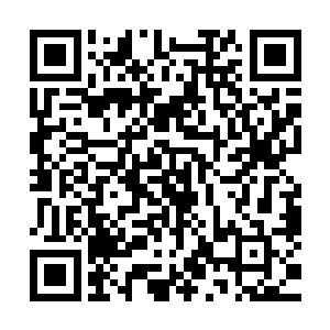 可是这些被黑风卷走的东西全都到了五行地脉一个空旷的地方二维码生成