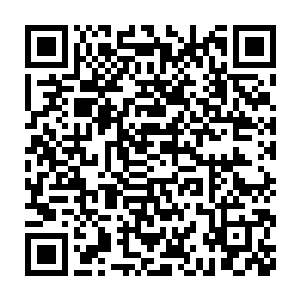 可是这几天中他得保证自己的碎裂身体不会被这只人面鸟或其他禽二维码生成