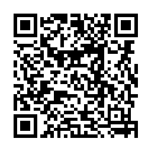 可是这帕子还是原来的那一块……难道角落里的刺绣换了二维码生成