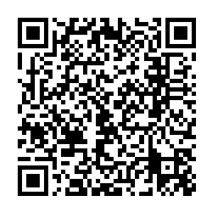 可是这拳头上蕴含的可怕力量却还是直接将孙悟空给轰击得倒飞了出去二维码生成
