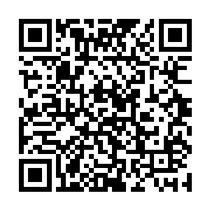 可是这接下来一桩桩一件件的事实在是让她心生后悔二维码生成