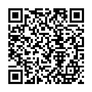 可是这次他算是彻底的碰到了折磨人的老祖宗夏天了二维码生成