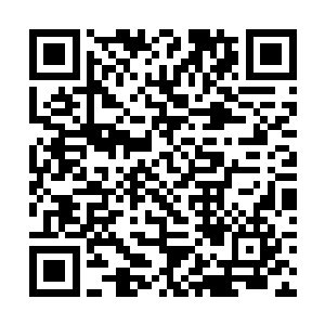 可是这次神识变得强大了数倍不止竟然找不到尽头了二维码生成