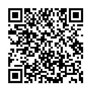 可是这段时间以来……最辛苦的压根就不是叶笑二维码生成