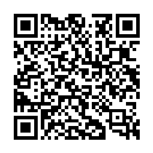 可是逃的那箭手的速度却是从头到尾都是没变过二维码生成