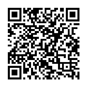 可是那些信息中为什么不包括这个……任务直播的信息二维码生成