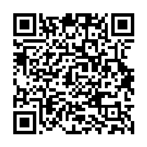 可是那些后宫佳丽也没办法和夏侯承宇比家世背景二维码生成
